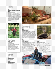 September Issue 2018 - Leisure Emoji,Sweet Emotion Bass Lesson