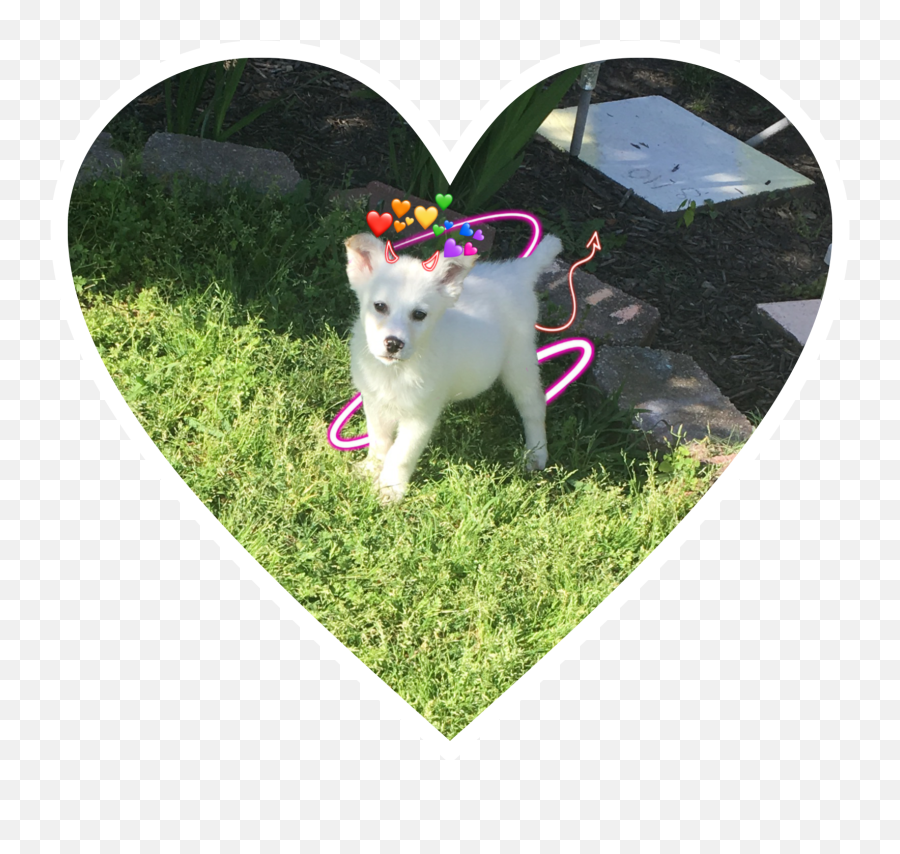 The Most Edited Huskey Picsart - Lawn Emoji,Husker Emoji