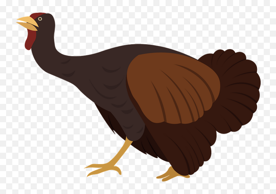 Turkey Clipart - Wild Turkey Emoji,Turkey Emoji Images