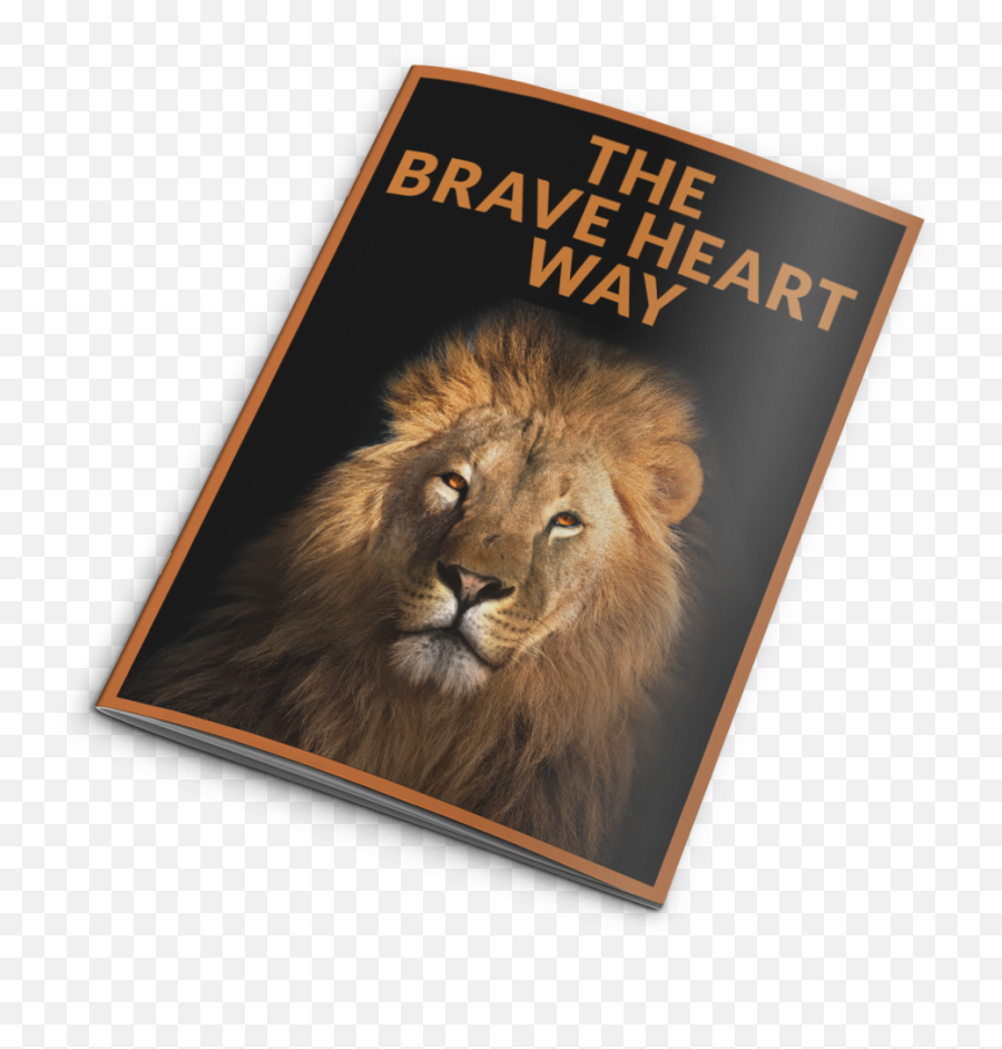 Brave Heart U2014 International Training Institute Of Health - Essential Baby And Toddler Show Emoji,Brave Emotion