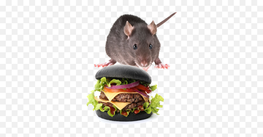 Burger Rats By Gias Ahmed - Hamburger Emoji,Emojis Burger