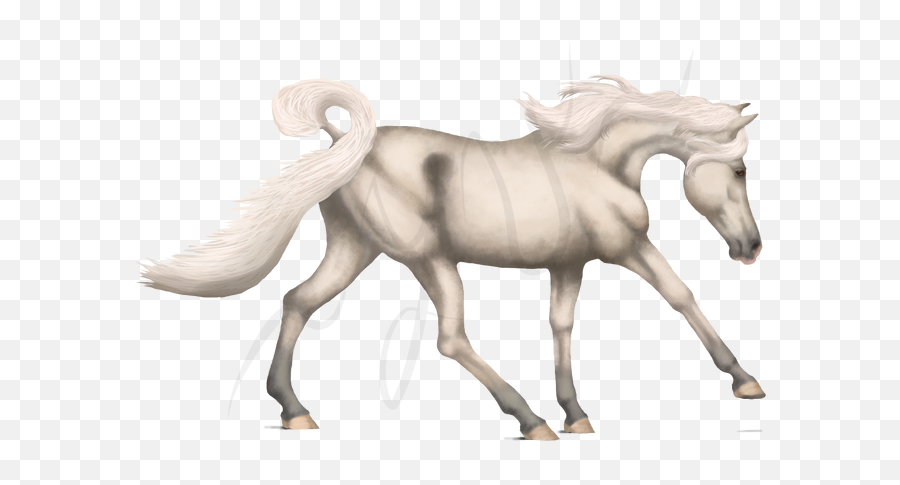 Info Kreativní Prostor Pro Zaáteníky U2013 Stránka 5653 - Howrse Mythical Creature Emoji,Emoticon Hlava Kdo To Je Forum