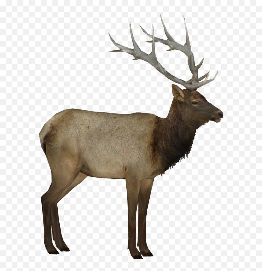 Deer Elk Reindeer Terrieasterly Sticker By Territales - Elk Emoji,Elk Emoji