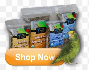 Home Emoji,Blue Crown Conure Emotion