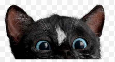 Felini Cat - The Epic Story On How Felini The Kitty Came To Life Emoji,Where Is The Kitty In The Emoji Movie