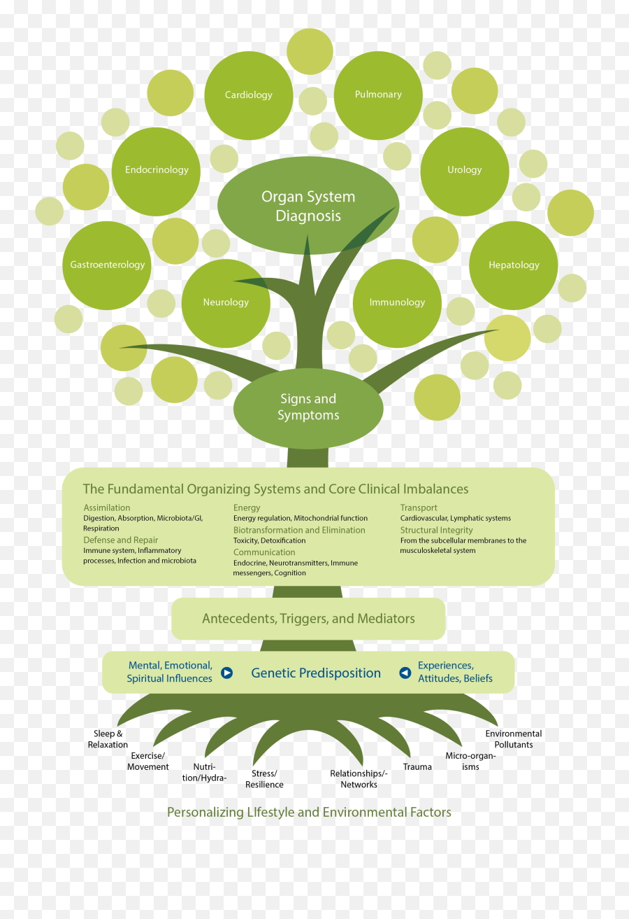 Conventional And Functional Medicine Whatu0027s The Difference - Functional Medicine Model Emoji,Thyroid Medication And Emotions