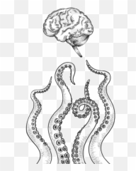 Shadow Work 101 Exploring The Shadow U0026 Psychedelics - Illustration Tentacles Emoji,How To Draw The Emotion Envy