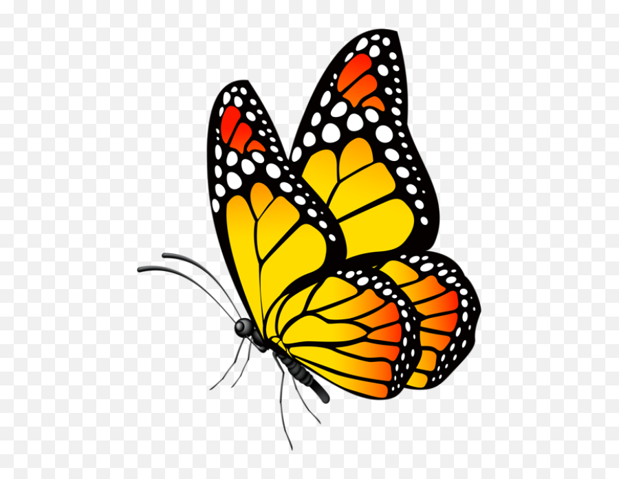 Butterfly Art Painting Butterfly Art - Butterfly Clipart Png Emoji,Emotion Butterflies