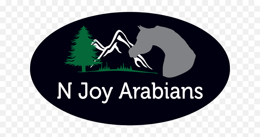 Region 5 Arabian Horse Association - News Njoy Arabians Emoji,Horses Emotion Illustration