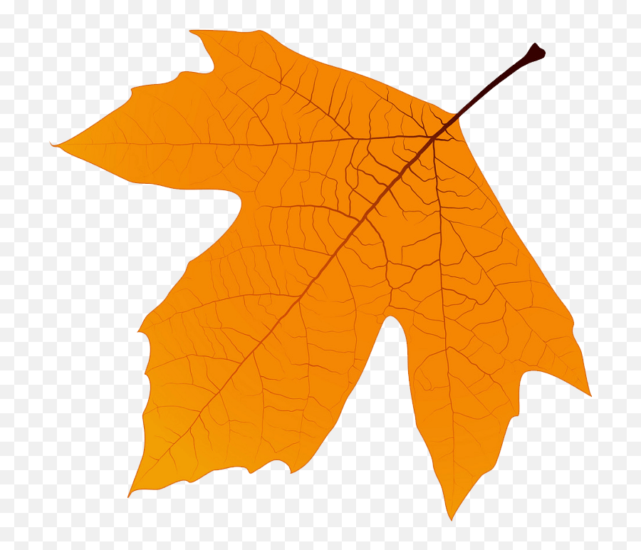 Leaf Clipart - Clipartworld Emoji,Mable Leaf Emoji