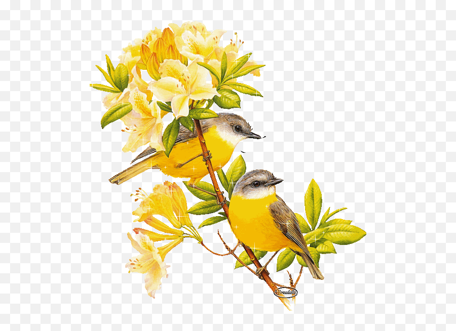 Tags Archive - Lowgif Clipart Frühlingserwachen Emoji,Drake Bird Emoji