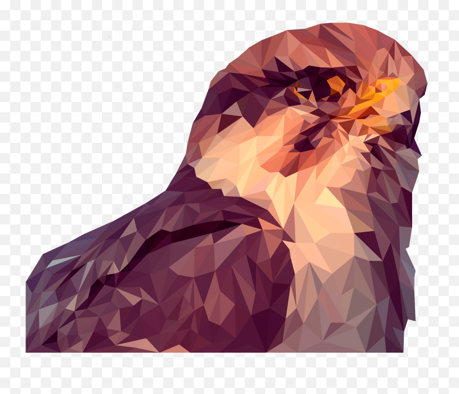 Hawk Face Clipart - Falcon Emoji,Hawk Emoji