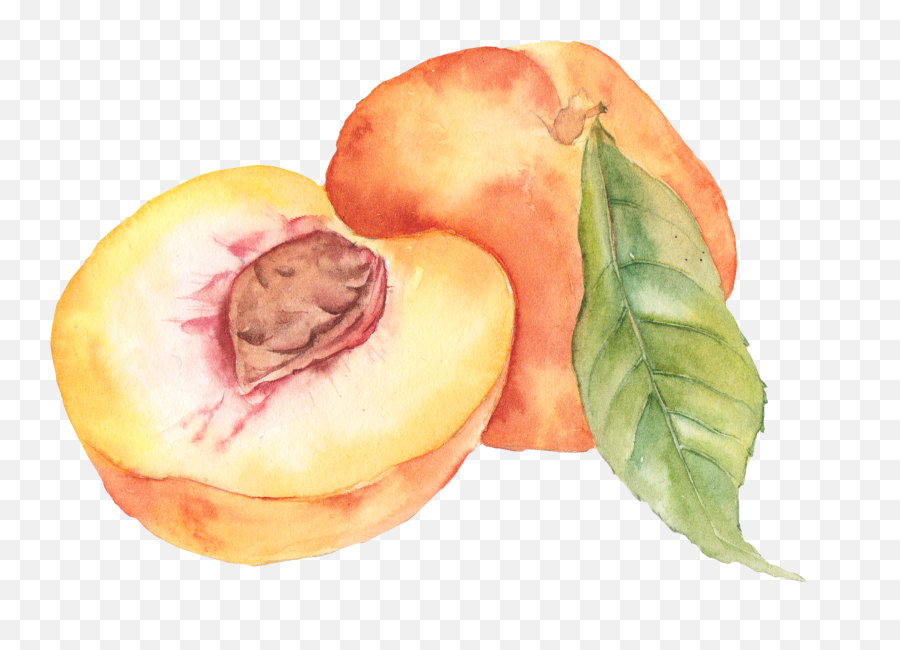 Peach Png Images Transparent Background Png Play - Fruit Watercolor Peach Emoji,Peach Emoji Png