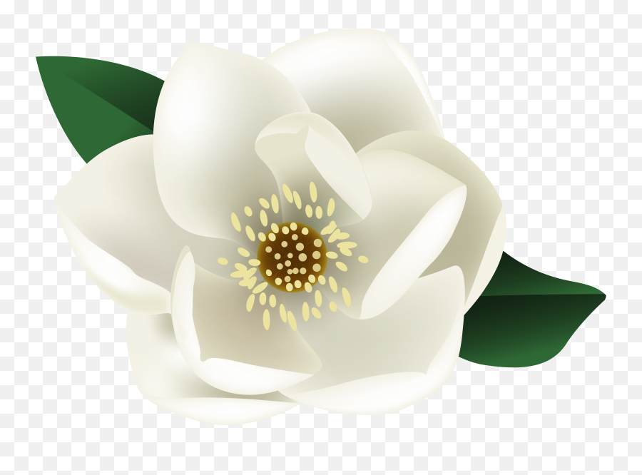 Flower Painting Magnolia Flower Emoji,Magnolia Emoji