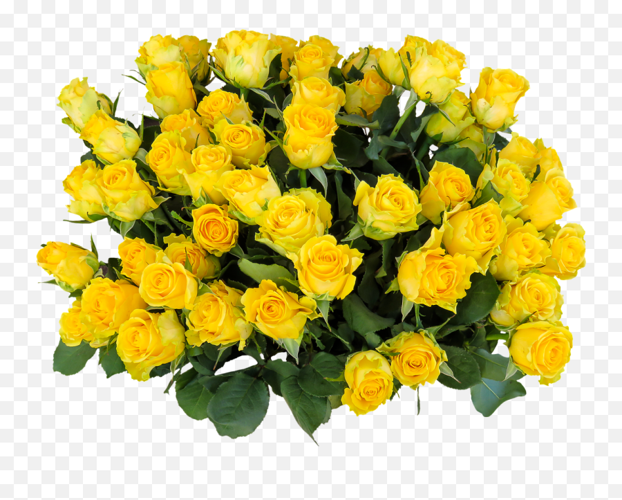 Emotions Roses Birthday - Yellow Flower Bouquet Transparent Background Emoji,Birthday Estuary Emotion