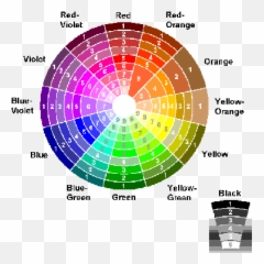 Lele Floral - Flowers By Seasons Color Wheel For Seasons Emoji,Colours And Emotions Meaning