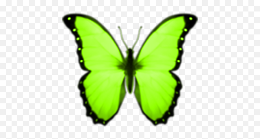 Lime Neongreen Green Sticker By Erika Russell Emoji,Butterflies Emojis