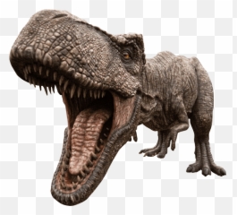 The Schelde Quiz - Scheldebrouwerij Emoji,Velosciraptor Text Emoticon