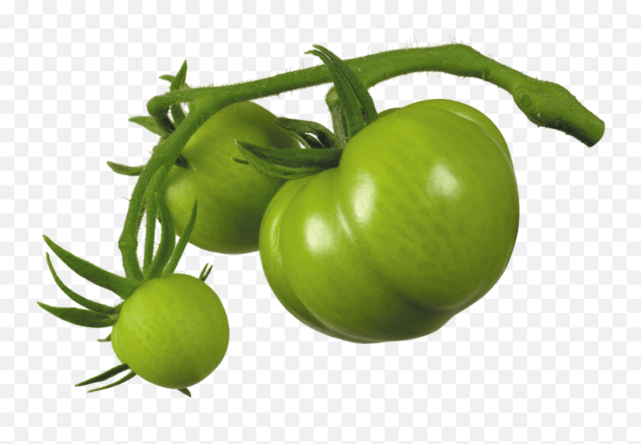 Green Tomato Chutney Emoji,Kos Emoji