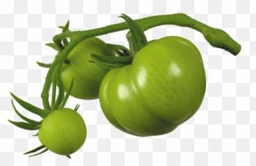 Green Tomato Chutney Emoji,Kos Emoji