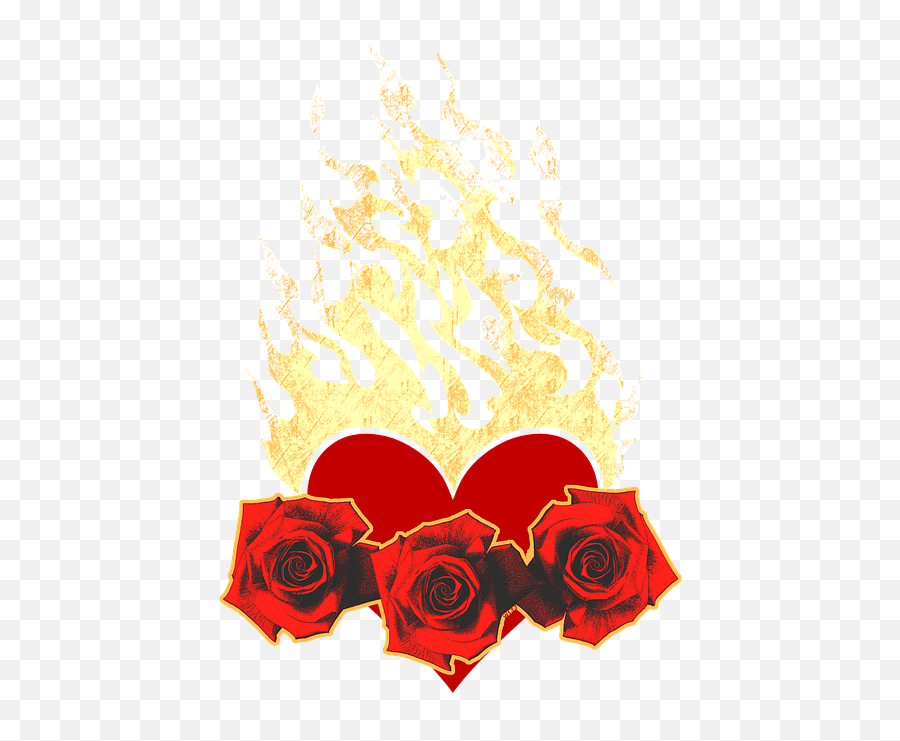 Free Photo Symbol Flowers Romance Love Flame Heart Fire - Coração De Fogo Png Emoji,Fire Emotions