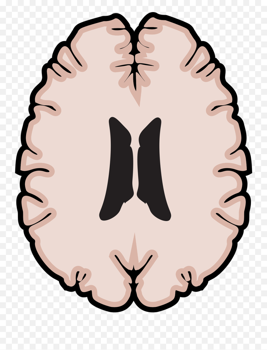 Graphic Brain Horizontal - Multiple Sclerosis Emoji,Brain Scans Of Emotions