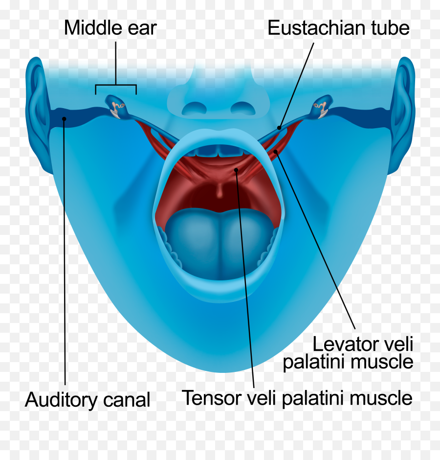 What Does Sound Therapy Have To Do With - Canine Tooth Emoji,Other Emotions Sanders Sides