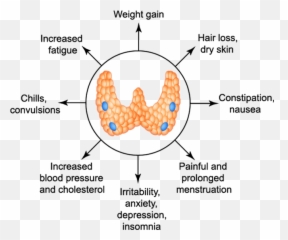 Ayurvedic Medicine For Thyroid Natural Treatment For Emoji,Thyroid Medication And Emotions