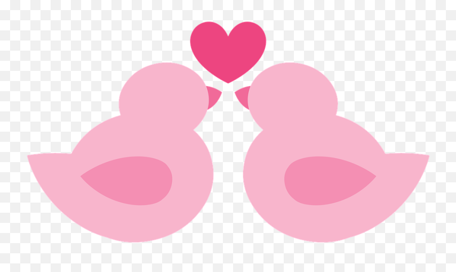 Free Photo Love Birds Marriage Pink In Love Rosa Color Pink - Passarinho De Amor Png Emoji,Colors Emotions Pink