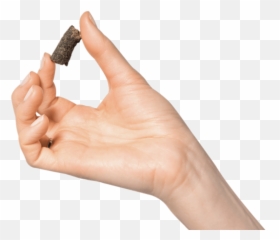 Pancreatitis How Can I Prevent It Or Support My Dog If It Emoji,Hold Your Finger To Help Emotion