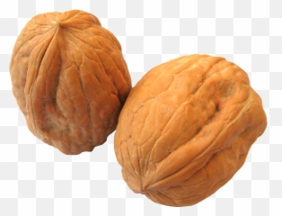 Nut Clipart Cashew Nut Nut Cashew Nut - Walnut Png Emoji,Walnut Emoji