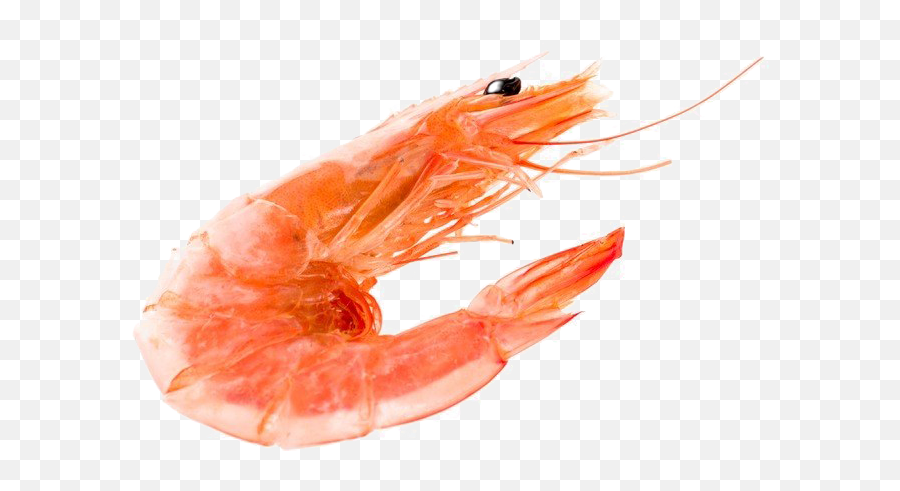 Shrimp De Jonghe Emoji,Emoticon Eat Shrimp