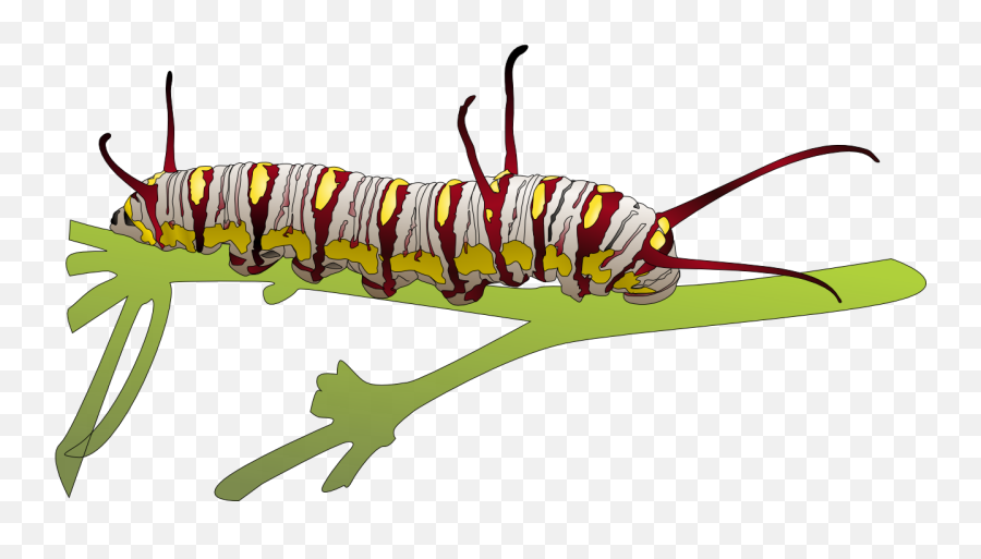 Caterpillar Free Png Image - Higad Clipart Transparent Caterpillar Crawling On The Wall Poem Emoji,Caterpillar Emoji
