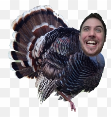Wrath Why Is There No Turkey Emoji - Turkey Flashcard For Kids,Turkey Emoji Images