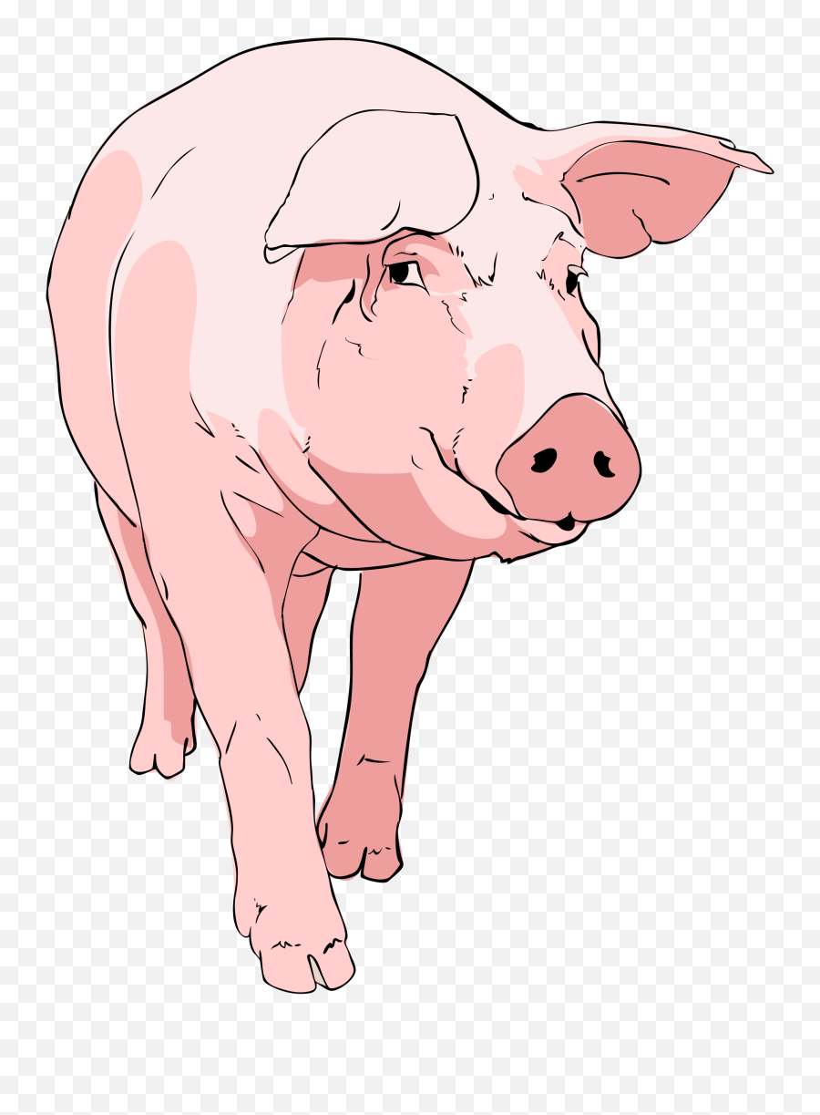 File Pig Clipart Svg Wikimediamons - Clipartix Farm Pig Clipart Png Emoji,Pig Emoji Png