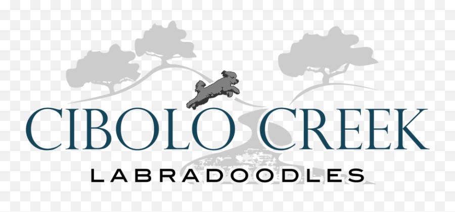 Labradoodle Breeder In Texas Australian Labradoodles - Logo Emoji,Emotions Doodle