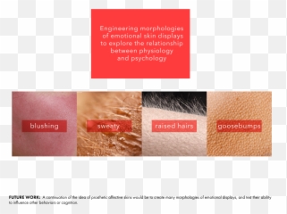 To Engineer A Gut Feeling U2014 Ani Liu Emoji,Physcialogy And Emotions