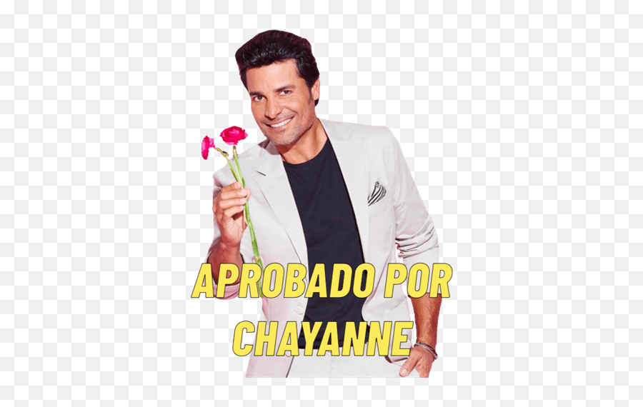 Chayanne - Chayanne Aesthetic Emoji,Buenas Noches Con Emojis