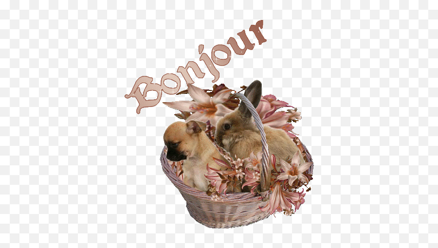 Bonjour Ensoleillé - Bonjour Chiwawa Emoji,Si Jeune Et Déja La Clope Au Bec, Bel Exemple Pour Notre Belle Jeunesse !... Smile Emoticon