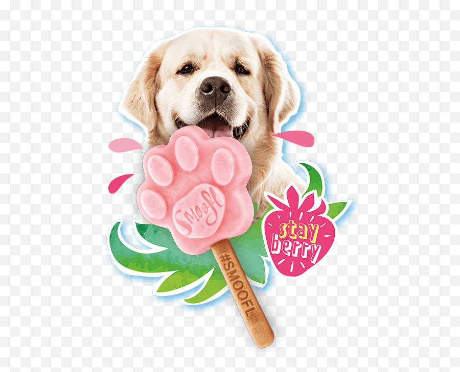 Smoofl Dog Ice - Smoofl Emoji,Send Your Friends Cute Cream Labrador Retriver Emojis