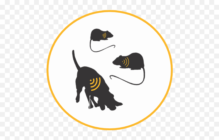 Temperature - Dog Emoji,Remy The Rat What Emotion