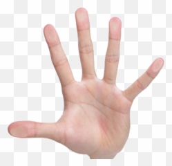 Popular And Trending Palm Hand Stickers Picsart - Solid Emoji,Hand Palm Emoji