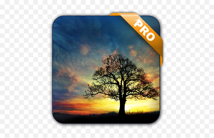 Updated Sunset Hill Pro Live Wallpaper Android App Emoji,Windmill Emoji Android