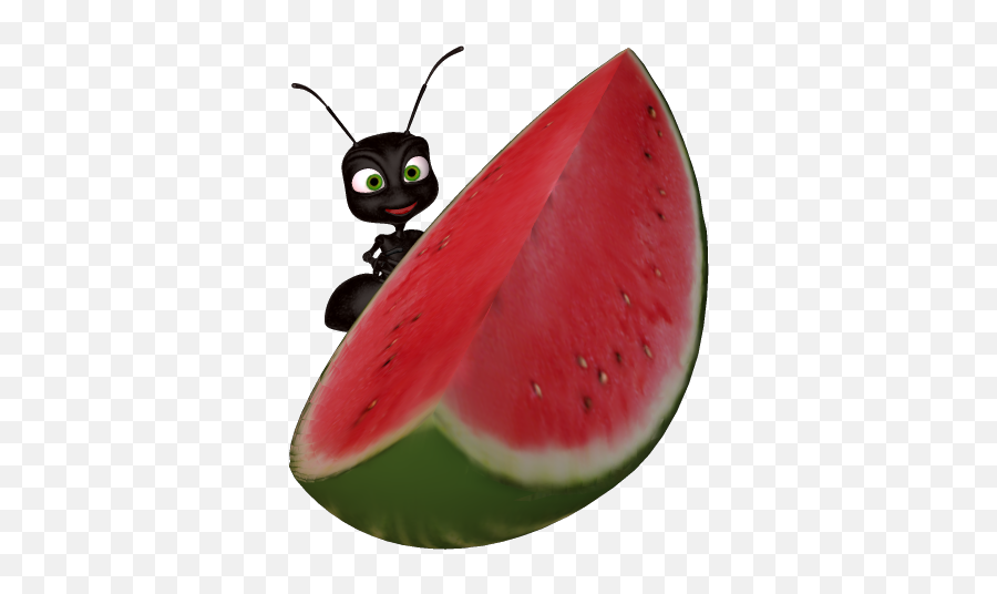 Watermelon Clip Art 2 - Clipartix Ant Watermelon Emoji,Melon Emoji