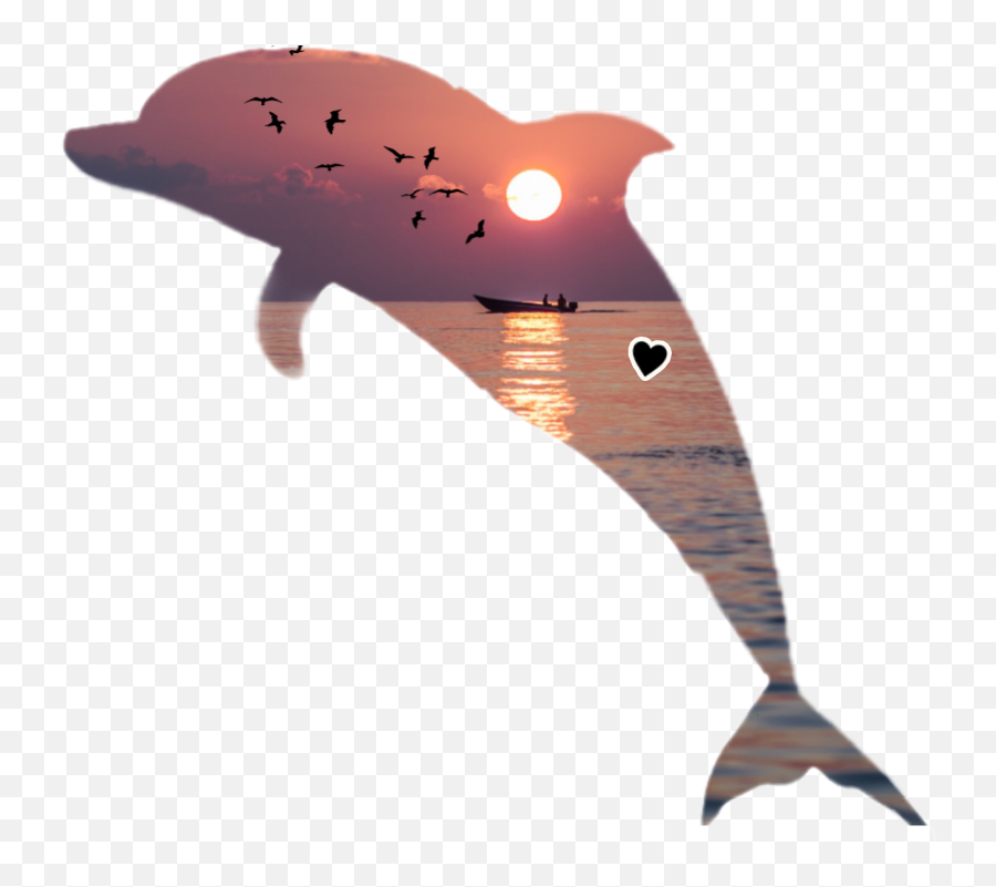 The Most Edited - Cat Dolphin Hybrid Emoji,Dolphin Emoji Pillow