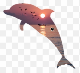 The Most Edited - Cat Dolphin Hybrid Emoji,Dolphin Emoji Pillow