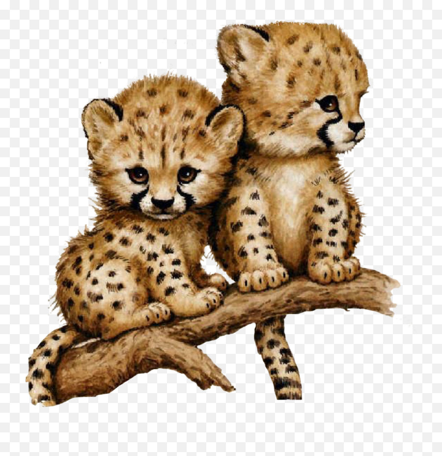 Cheetah Sticker Challenge - Adorable Baby Cheetah Drawing Emoji,Cheetah Emoji