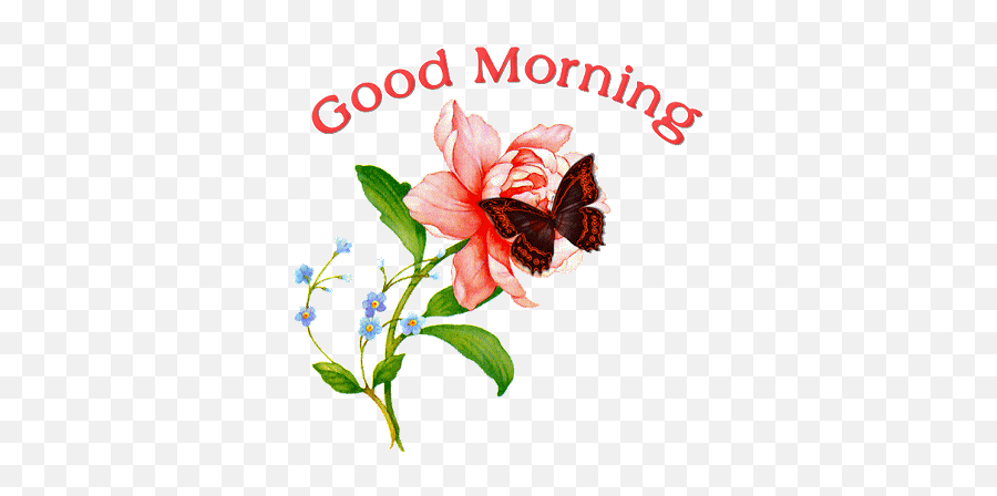 Good Morning Butterfly Wallpaper - Art Wallpaper Hd Love Good Morning Gif Emoji,Mets Apple Emoji