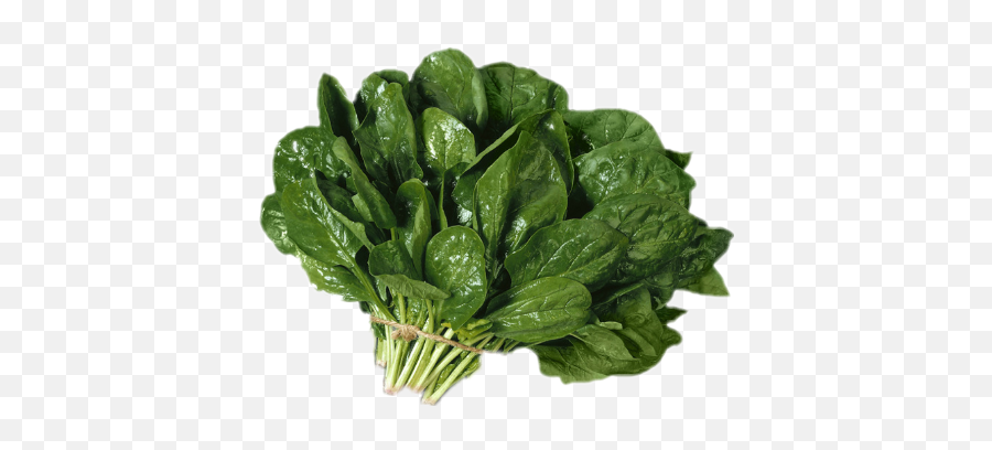 Followme Spinach Sticker By Abdullahcheema - Spinach Images Free Download Emoji,Spinach Emoji