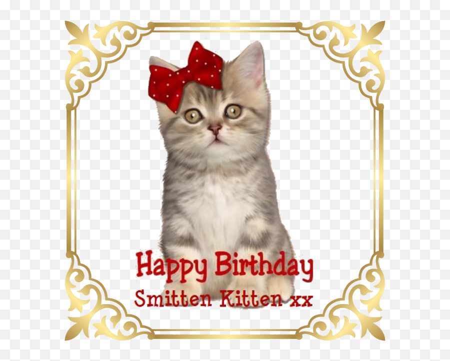 Happy Birthday Smitten Kitten - Happy Birthday With Kitten Emoji,Smitten Emoticon